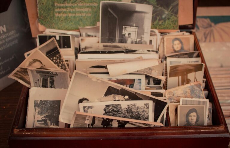 Lees meer over het artikel Harry Potter en de hersenpan